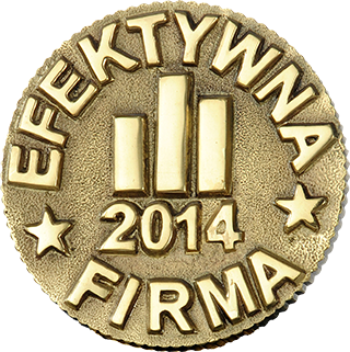 Efektywna firma 2014